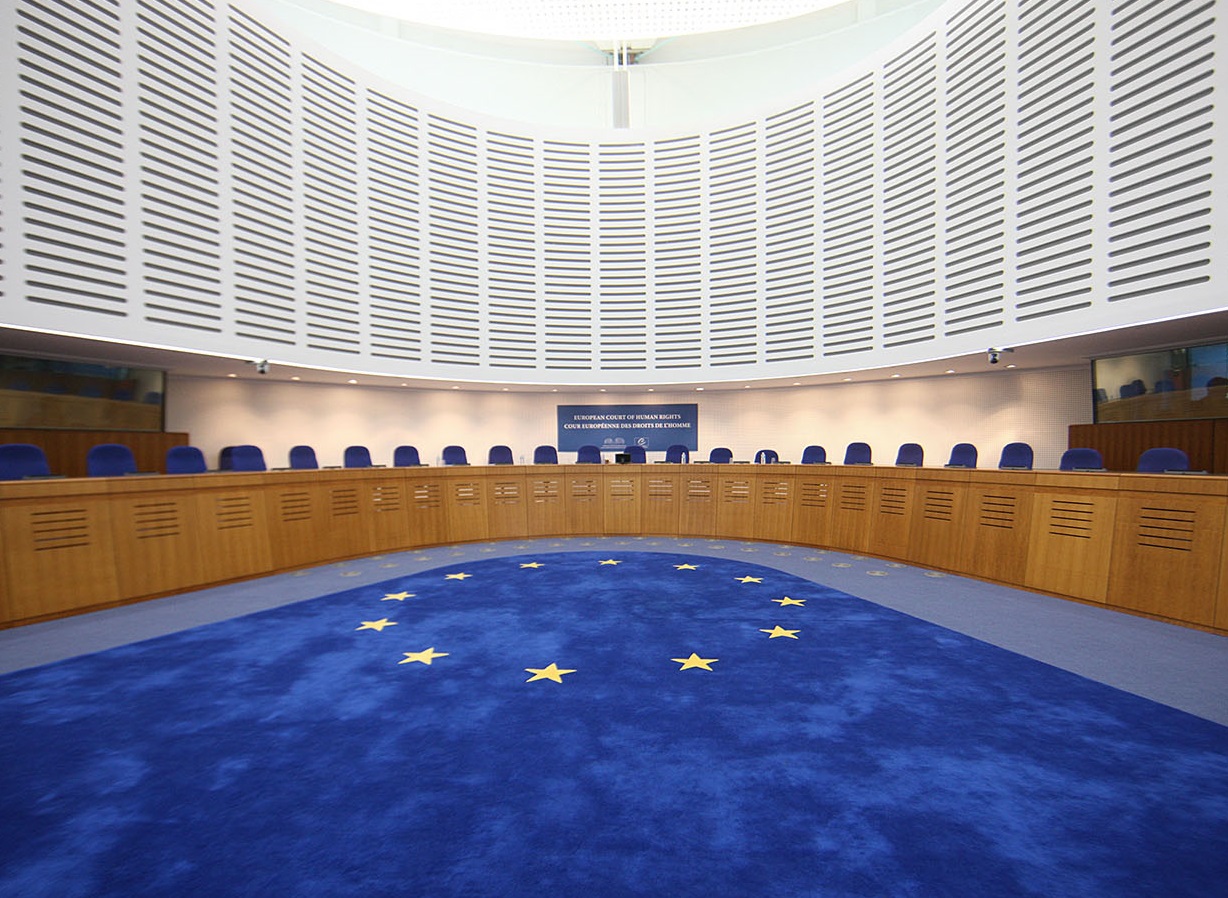 Семинар "Успешное обращение в ЕСПЧ"